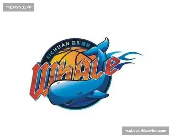 四川金强年轻球员锻炼机会增多 长远建队思路渐清晰